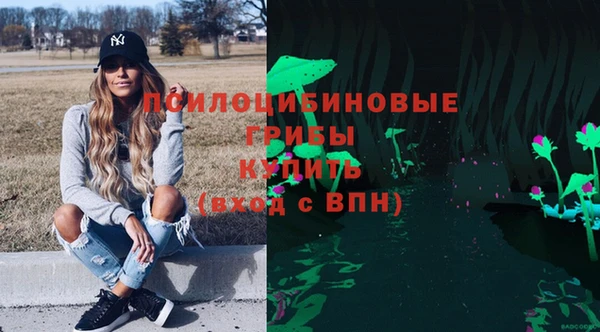 эйфоретик Каменка