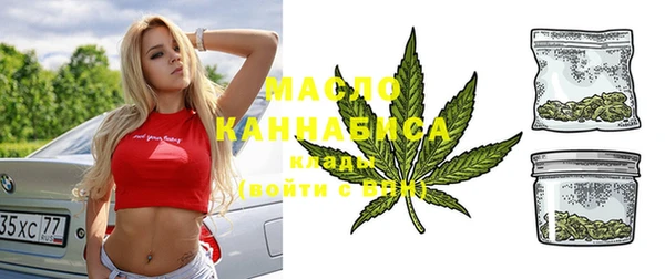 эйфоретик Каменка
